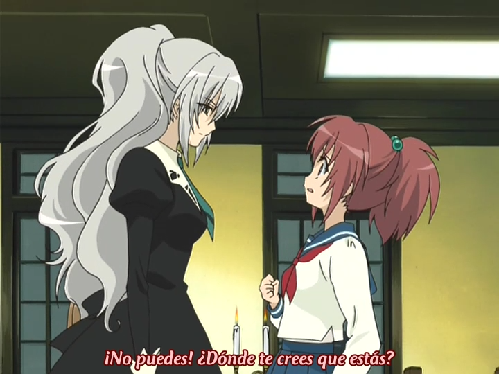 Strawberry Panic! (Anime Underground)